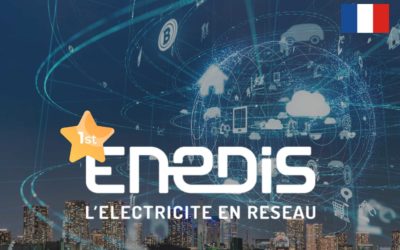 Smart Meters : Enedis (France) has the highest  Smart Grid Index !