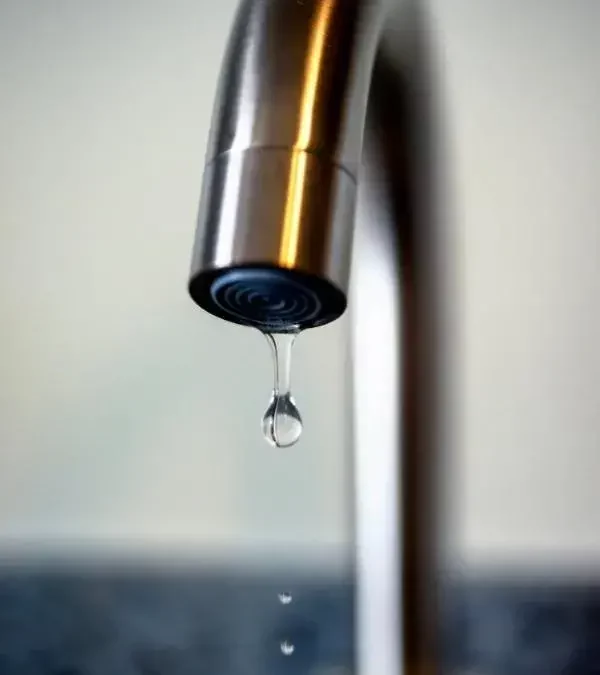 4 gestes à adopter pour économiser de l’eau